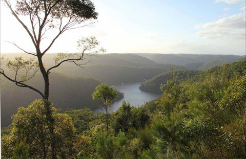 Great North Walk - Berowra Valley National Park - Timeshare Accommodation 0