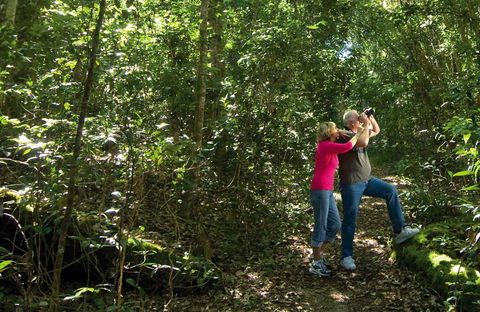 Iluka Rainforest Walking Track - Timeshare Accommodation 0