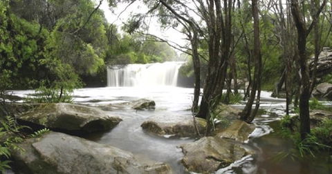 Nellies Glen Carrington Falls - Timeshare Accommodation 0