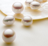 Paspaley Pearls - Timeshare Accommodation