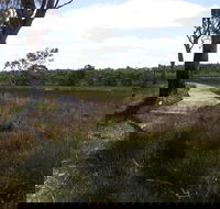 Penola Conservation Park