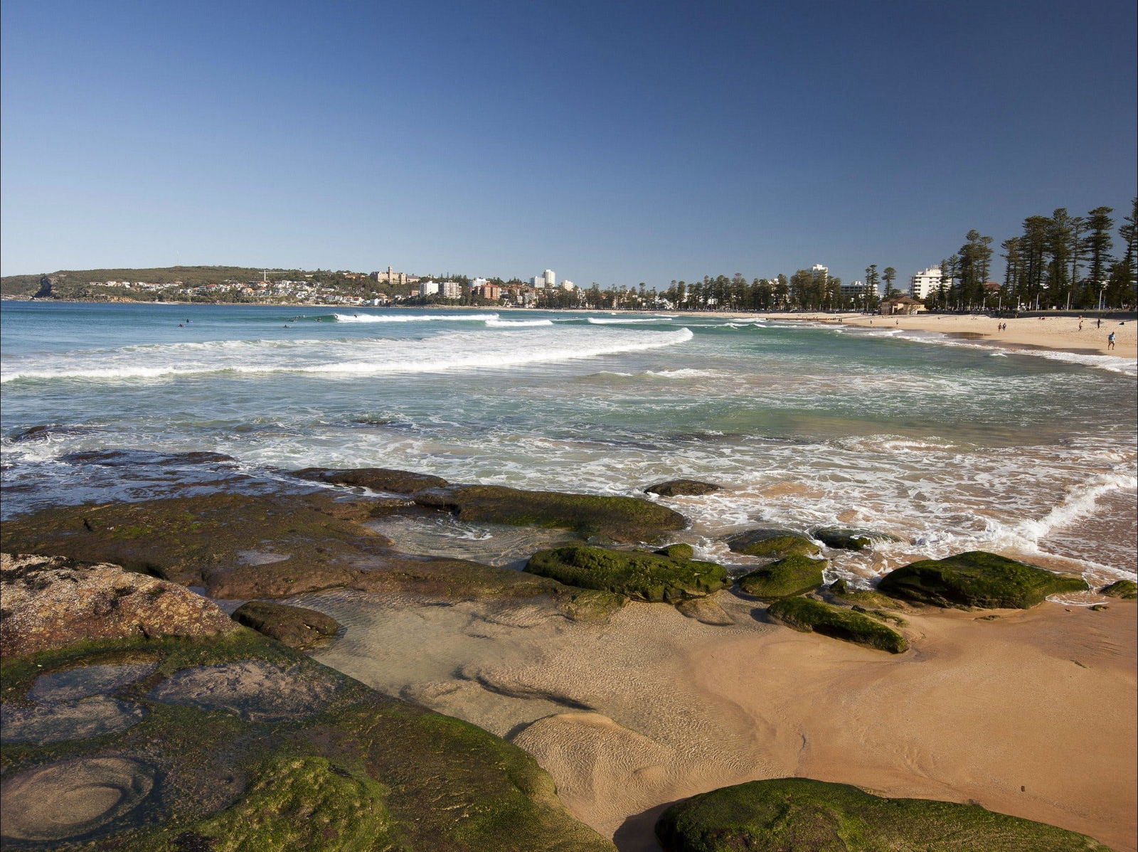 Harbord NSW Timeshare Accommodation