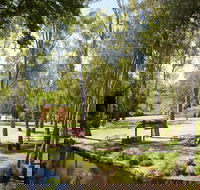 Wangaratta's Significant Trees Walks - Timeshare Accommodation