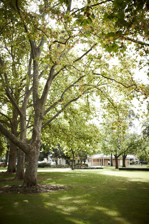 Wangaratta's Significant Trees Walks - Timeshare Accommodation 1