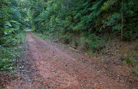 Cascade Mountain Bike Trail - Timeshare Accommodation 0