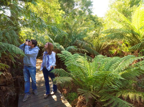 Endeavour Fern Gully Walks - Timeshare Accommodation 0