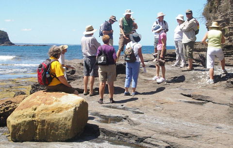 Gondwana Coast Fossil Walk - Timeshare Accommodation 0