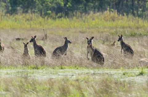 Kosciuszko National Park - Timeshare Accommodation 2