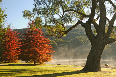 Lake Alexandra Reserve - Timeshare Accommodation 2