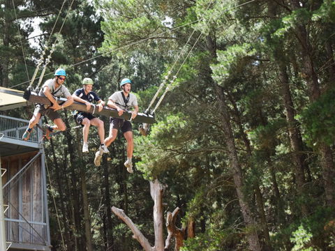 Mount Lofty Adventure Hub - Timeshare Accommodation 1