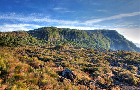New England National Park - Timeshare Accommodation 0