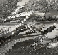 Pioneer Park - Timeshare Accommodation