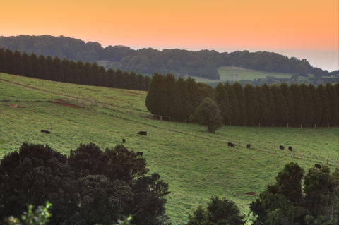 Robertson Heritage Railway Station - Timeshare Accommodation 2