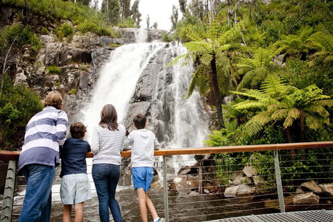 Steavenson Falls - Timeshare Accommodation 0