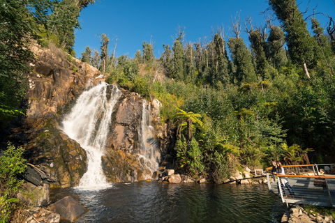 Steavenson Falls - Timeshare Accommodation 1