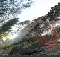 Store Creek Picnic Area - Timeshare Accommodation