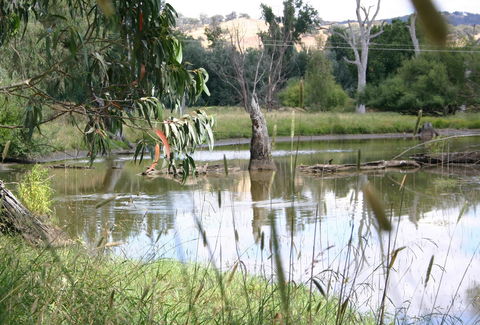 Tumut Wetlands - Timeshare Accommodation 0