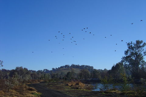 Tumut Wetlands - Timeshare Accommodation 1