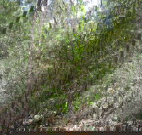 Wangaratta Common Nature Conservation Reserve - Timeshare Accommodation
