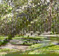 Wollomombi Gorge and Falls Picnic Area - Timeshare Accommodation