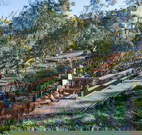 Falcon Falls walking track - Timeshare Accommodation