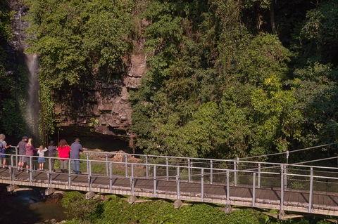 Rainforest & Waterfall Experience - Timeshare Accommodation 4