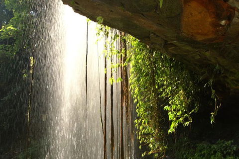 Rainforest & Waterfall Experience - Timeshare Accommodation 9