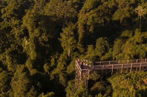Rainforest & Waterfall Experience - Timeshare Accommodation 5