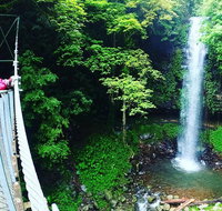 Rainforest  Waterfall Experience - Timeshare Accommodation