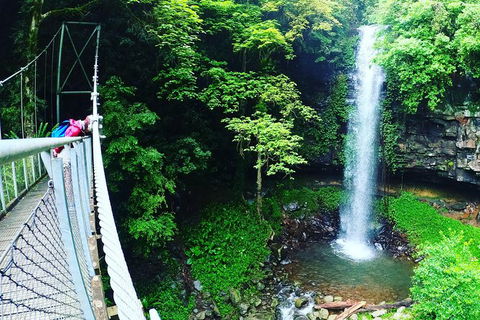 Rainforest & Waterfall Experience - Timeshare Accommodation 0