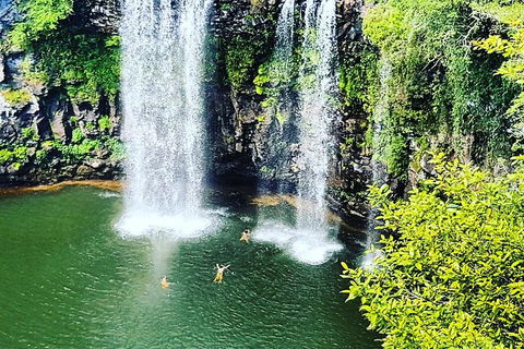Rainforest & Waterfall Experience - Timeshare Accommodation 2