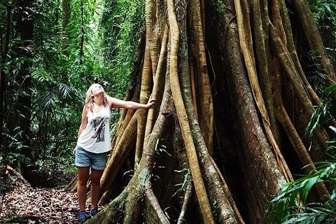Rainforest & Waterfall Experience - Timeshare Accommodation 3