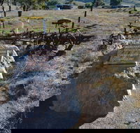 Wangaraleednie Monument  Ruins - Timeshare Accommodation