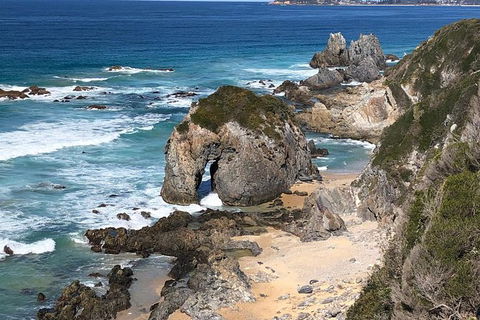 Narooma And Tilba Valley Private Tour - Timeshare Accommodation 8