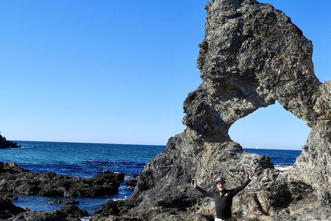 Narooma And Tilba Valley Private Tour - Timeshare Accommodation 4