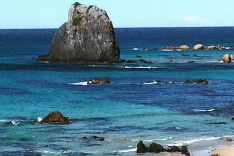 Narooma And Tilba Valley Private Tour - Timeshare Accommodation 9