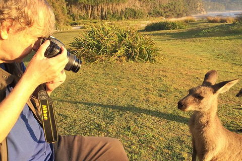 Highlights Of The Eurobodalla (half Day Private Tour) - Timeshare Accommodation 2