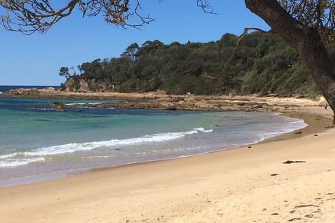 Highlights Of The Eurobodalla (half Day Private Tour) - Timeshare Accommodation 5