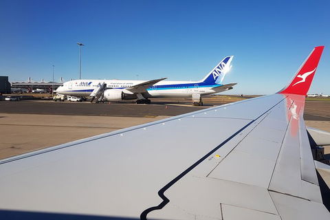 Eht Vip Transport And Airport Transfers And Lux Door To Door Service - Timeshare Accommodation 6