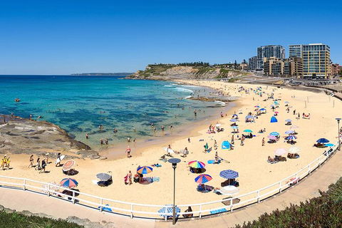 Newcastle Scenic Explorer - 2 Hour Tour By Minibus - Timeshare Accommodation 16