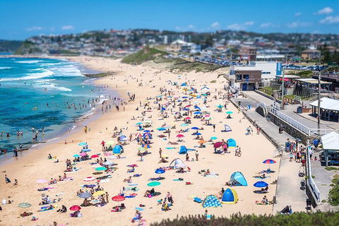 Newcastle Scenic Explorer - 2 Hour Tour By Minibus - Timeshare Accommodation 6