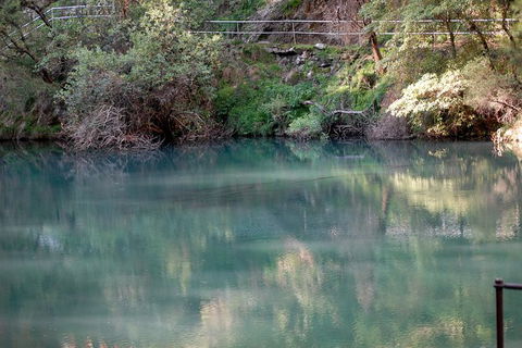 Jenolan Caves - Wildlife And Caves - Timeshare Accommodation 1