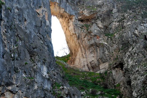 Jenolan Caves - Wildlife And Caves - Timeshare Accommodation 3