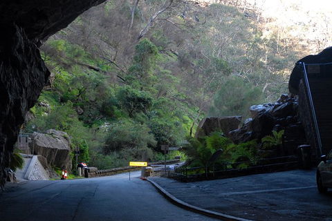 Jenolan Caves - Wildlife And Caves - Timeshare Accommodation 6