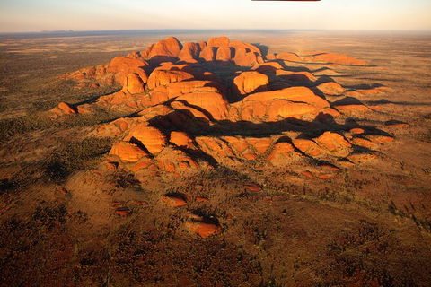 Helicopter Scenic: Lizard Safari - Timeshare Accommodation 2