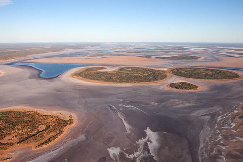 Helicopter Scenic: Lizard Safari - Timeshare Accommodation 0