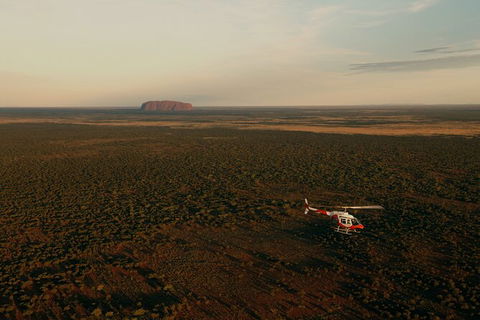 Helicopter Scenic: Lizard Safari - Timeshare Accommodation 4