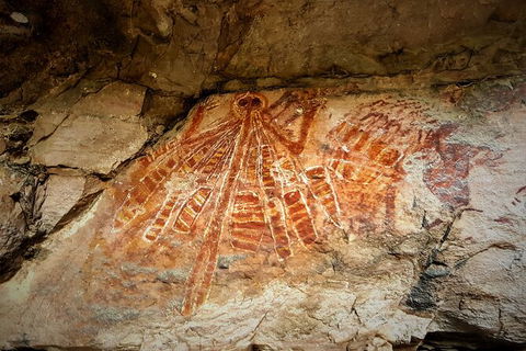 Arnhem Land Injalak Hill Full-Day Tour From Darwin - Timeshare Accommodation 1