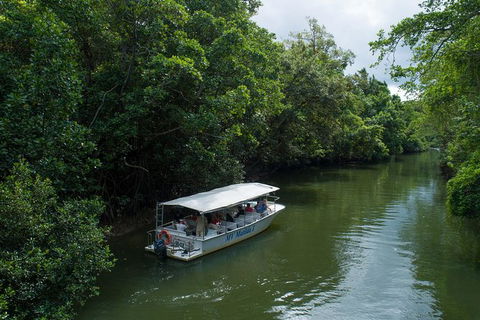 Daintree Rainforest, Cape Tribulation And Bloomfield Track Small Group Tour - Timeshare Accommodation 5