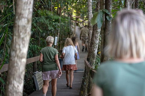 Daintree Rainforest, Cape Tribulation And Bloomfield Track Small Group Tour - Timeshare Accommodation 15